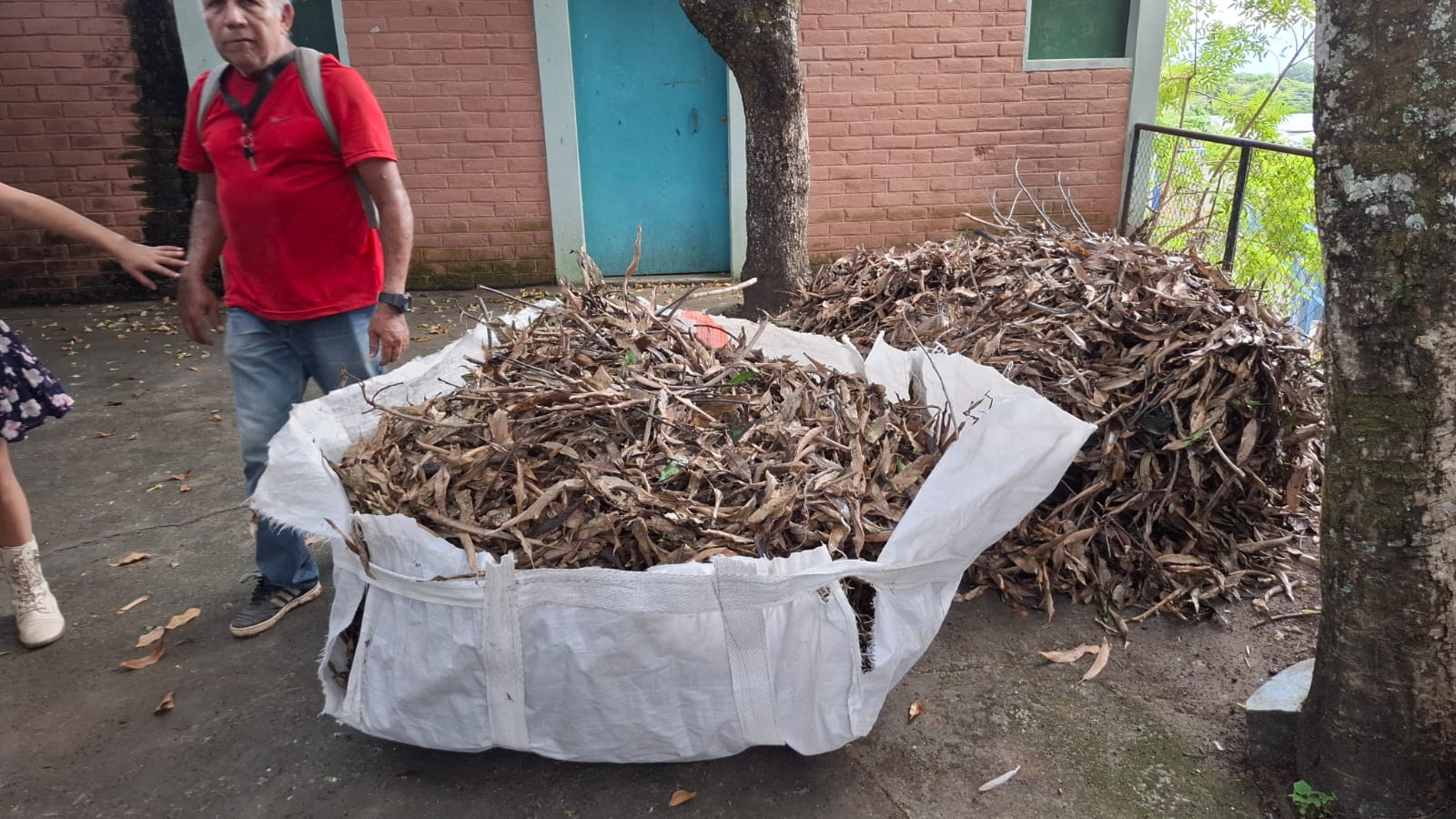 Recolección de material vegetal
