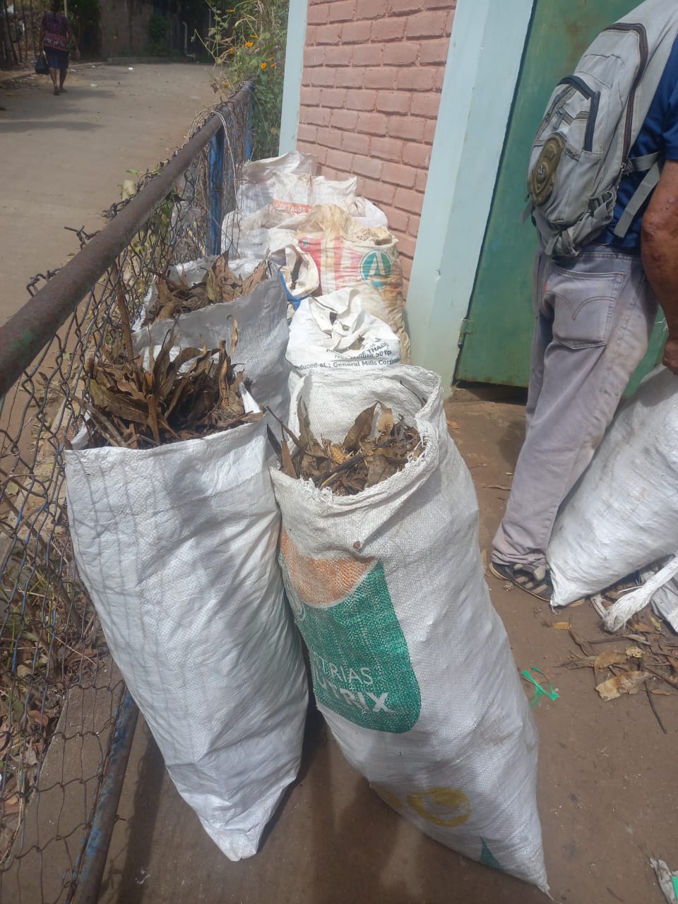 Acopio de hojas y material vegetal en la comunidad