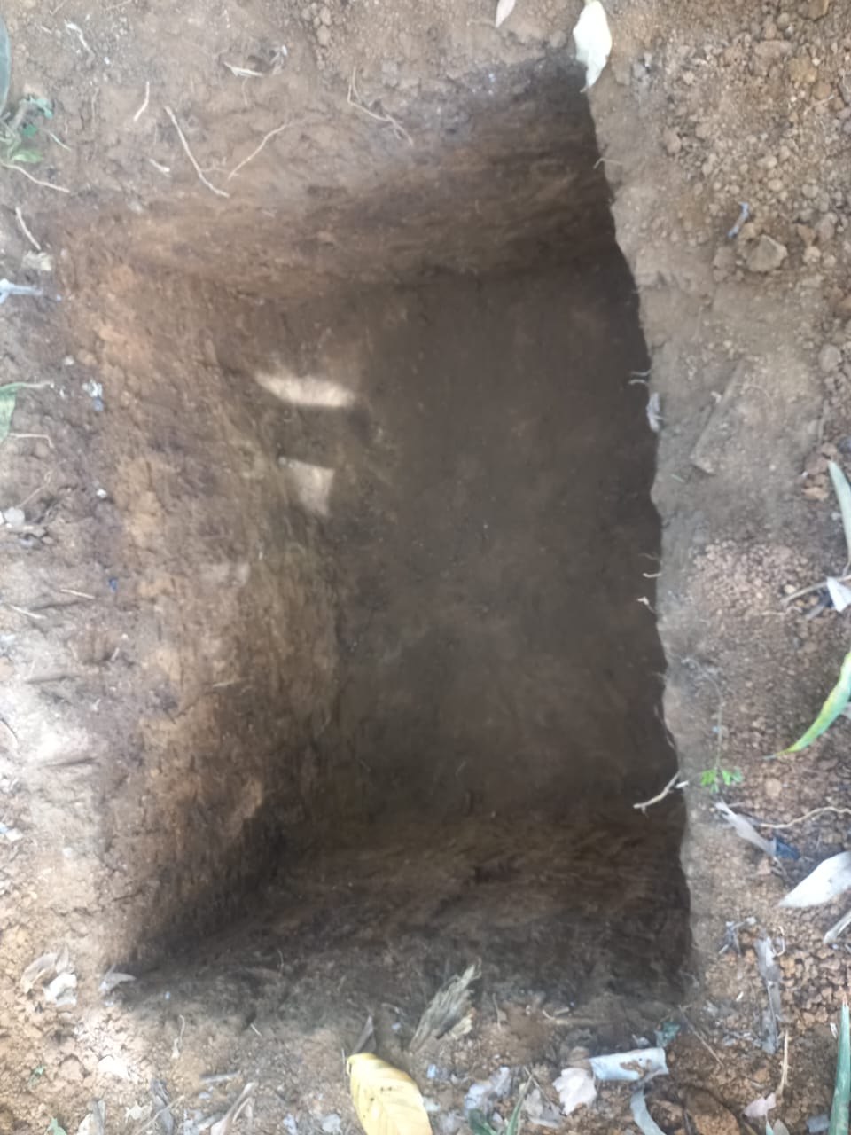 Preparación del área para el proyecto Tierra Fértil