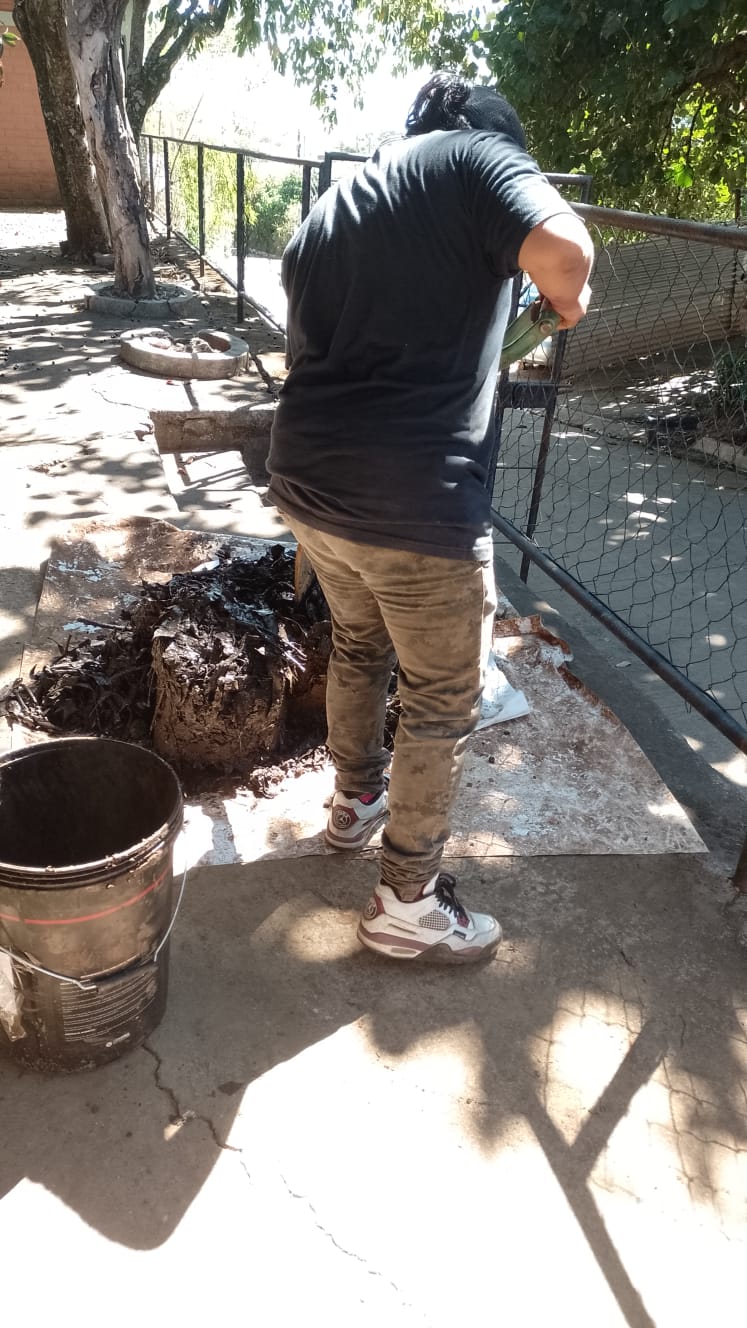 Manejo del material orgánico durante el compostaje